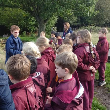 Its all about soils for Year 3